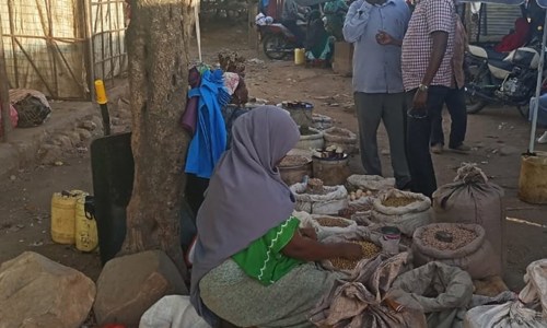 Consulting services to support IGAD with the implementation of the Regional Migration Fund